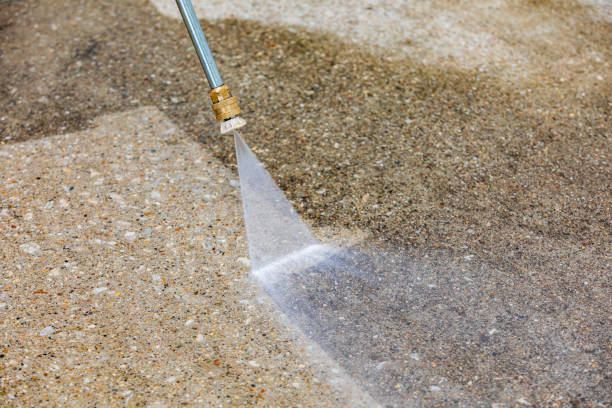 Best Pre-Holiday Cleaning  in Somerset, WI