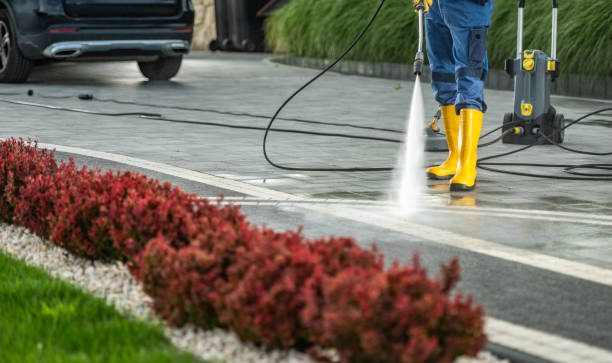 Best Graffiti Removal  in Somerset, WI